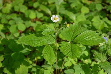 Similar image 21827000