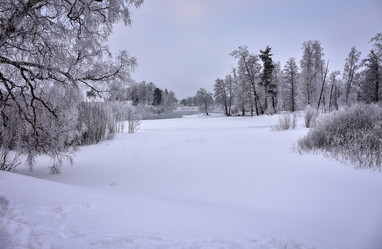 Similar image 21827007