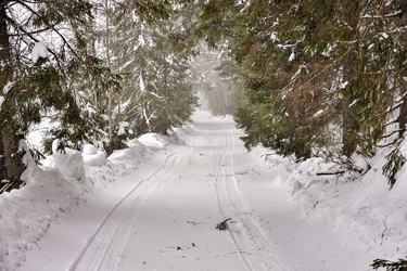 Similar image 21827017