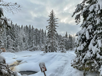 Similar image 21827020