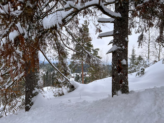 Similar image 21827023