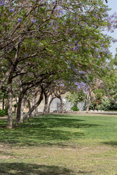 Similar image 21828137