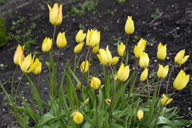 Similar image 21826615