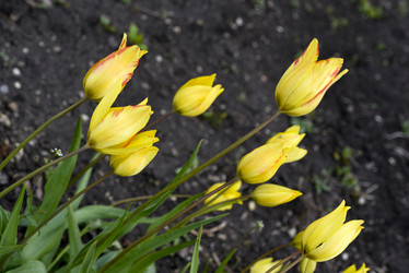 Similar image 21826616