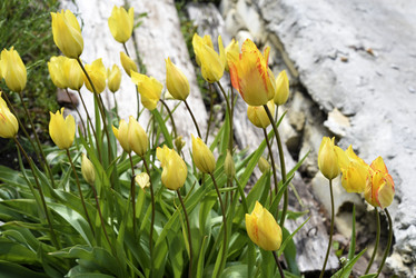 Similar image 21826618