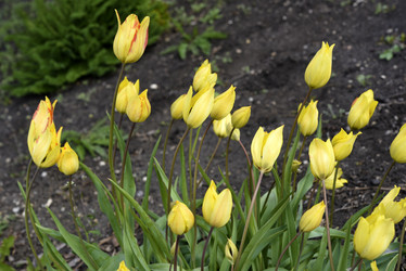 Similar image 21826620