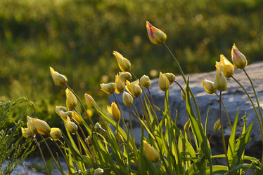 Similar image 21826622