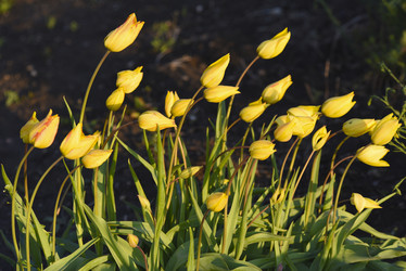 Similar image 21826623