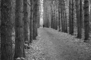 Similar image 21827140