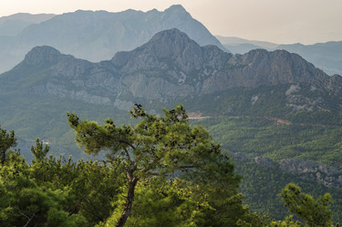 Similar image 21826844