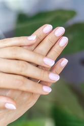 Similar image 21826458