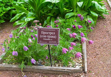 Similar image 21825891