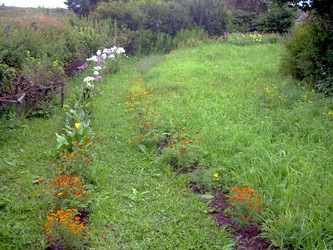 Similar image 21826494