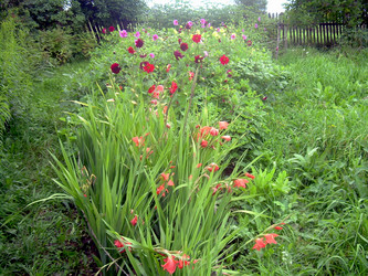 Similar image 21826495