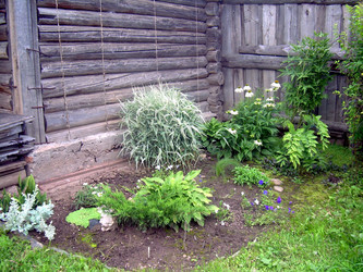 Similar image 21826496