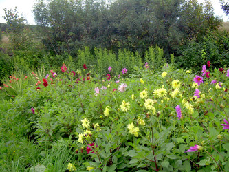 Similar image 21826497