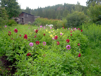 Similar image 21826498