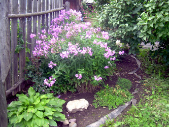 Similar image 21826499