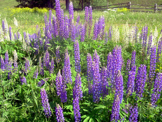 Similar image 21826501