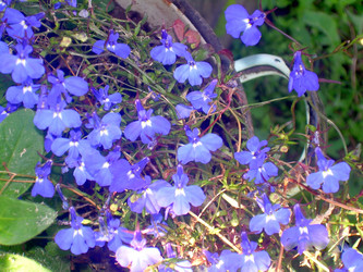 Similar image 21826503