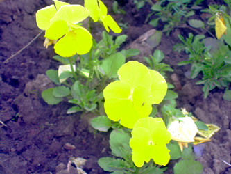 Similar image 21826505