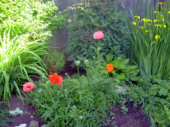 Similar image 21826506