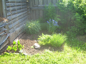 Similar image 21826507