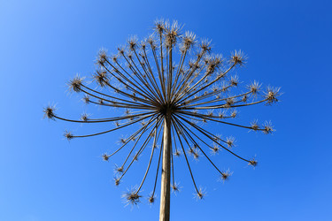 Similar image 21826235