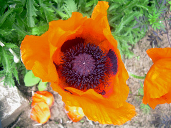 Similar image 21826514