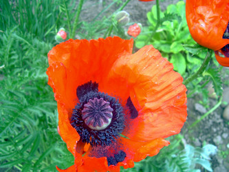 Similar image 21826521