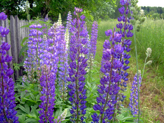 Similar image 21826526