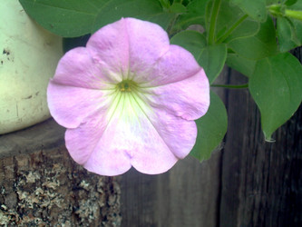 Similar image 21826528