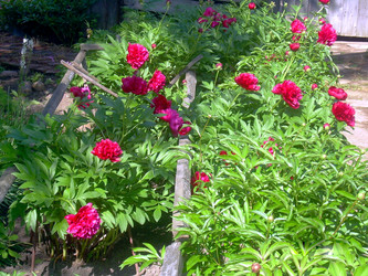 Similar image 21826529