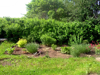 Similar image 21826530