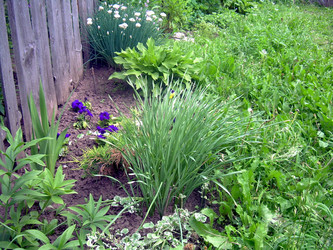 Similar image 21826532