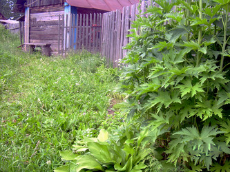 Similar image 21826533