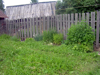 Similar image 21826534