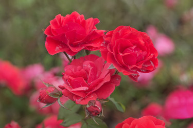 Similar image 21826237