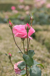 Similar image 21826238