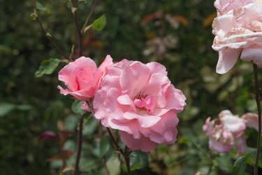 Similar image 21826241