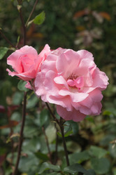 Similar image 21826242