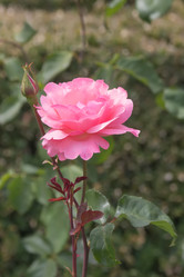 Similar image 21826243