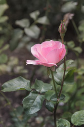 Similar image 21826245