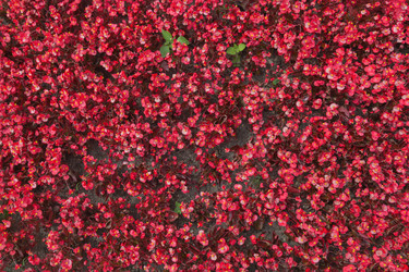 Similar image 21826246