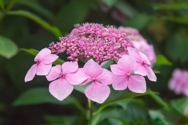 Similar image 21826247