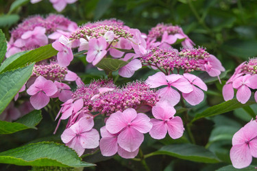 Similar image 21826248