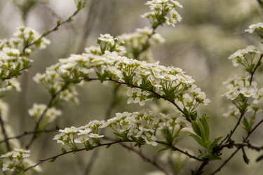 Similar image 21825893