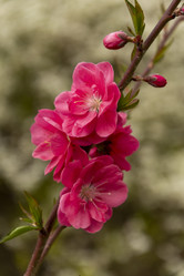 Similar image 21825894