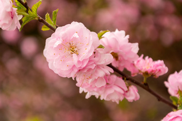 Similar image 21825895