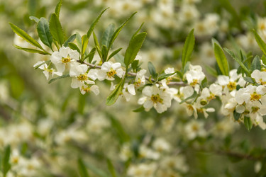 Similar image 21825897